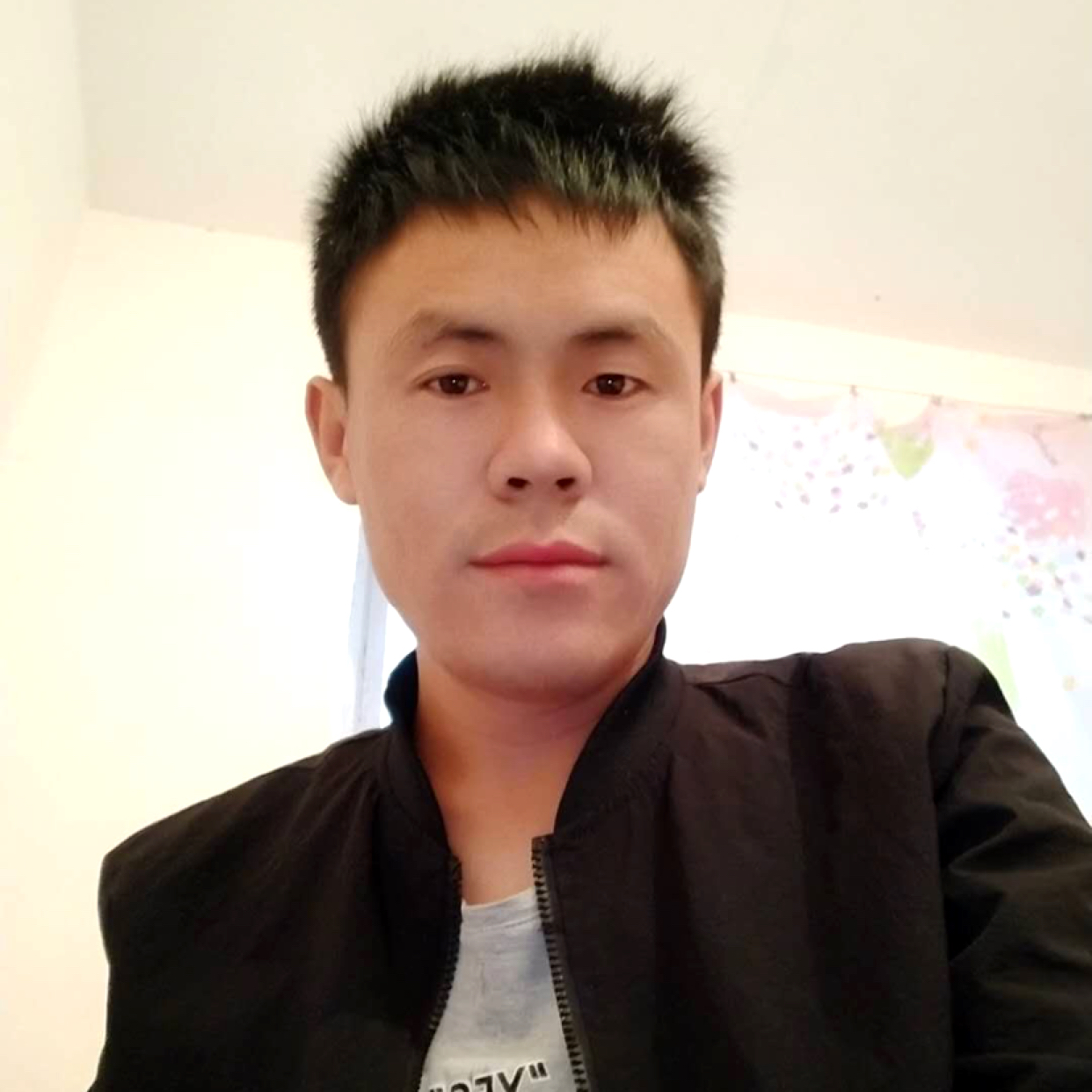 小懒虫保卫温暖的照片