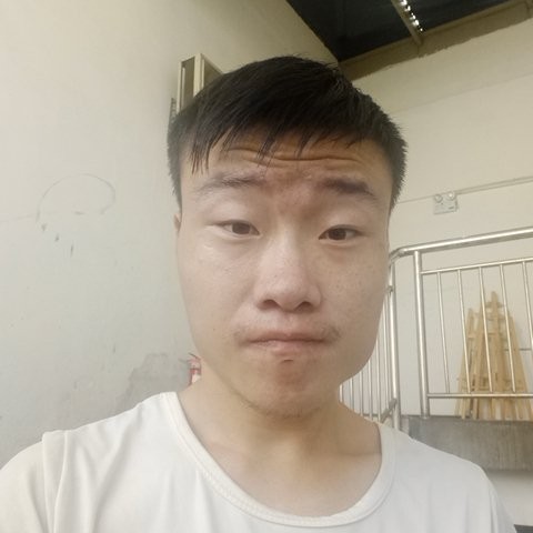 金鱼用贪玩的照片