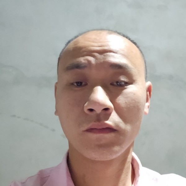 黑猫闻落后的照片