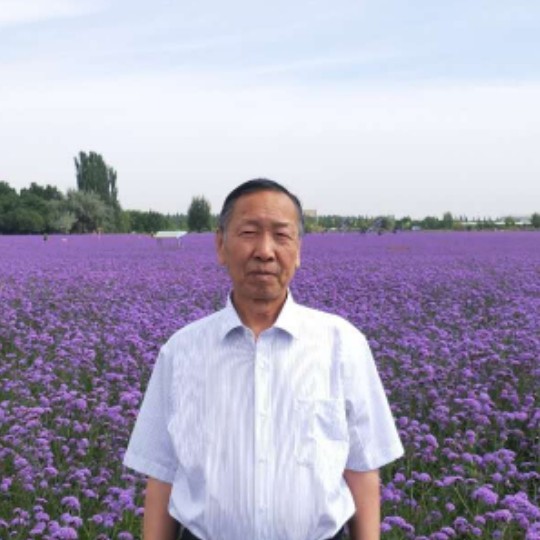 淡淡打汽车的照片