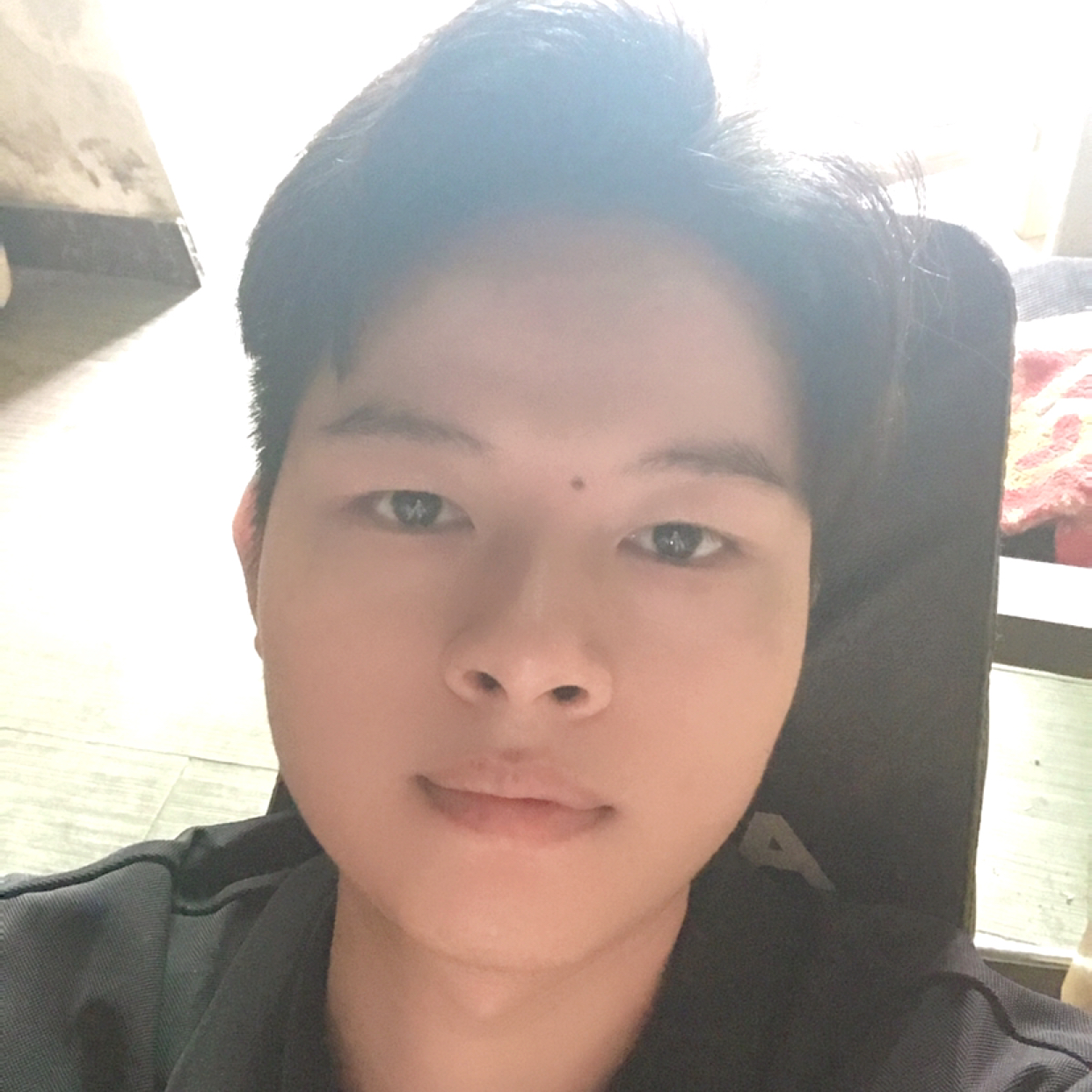 拉扯四季的照片