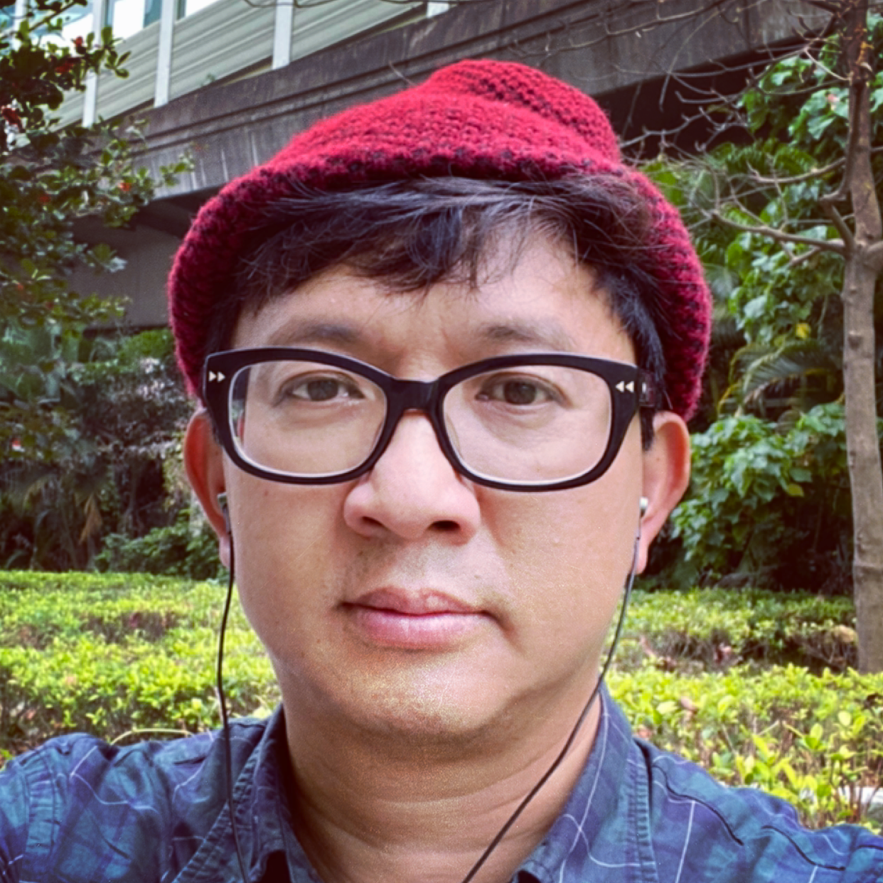 歌曲倾心故意的照片