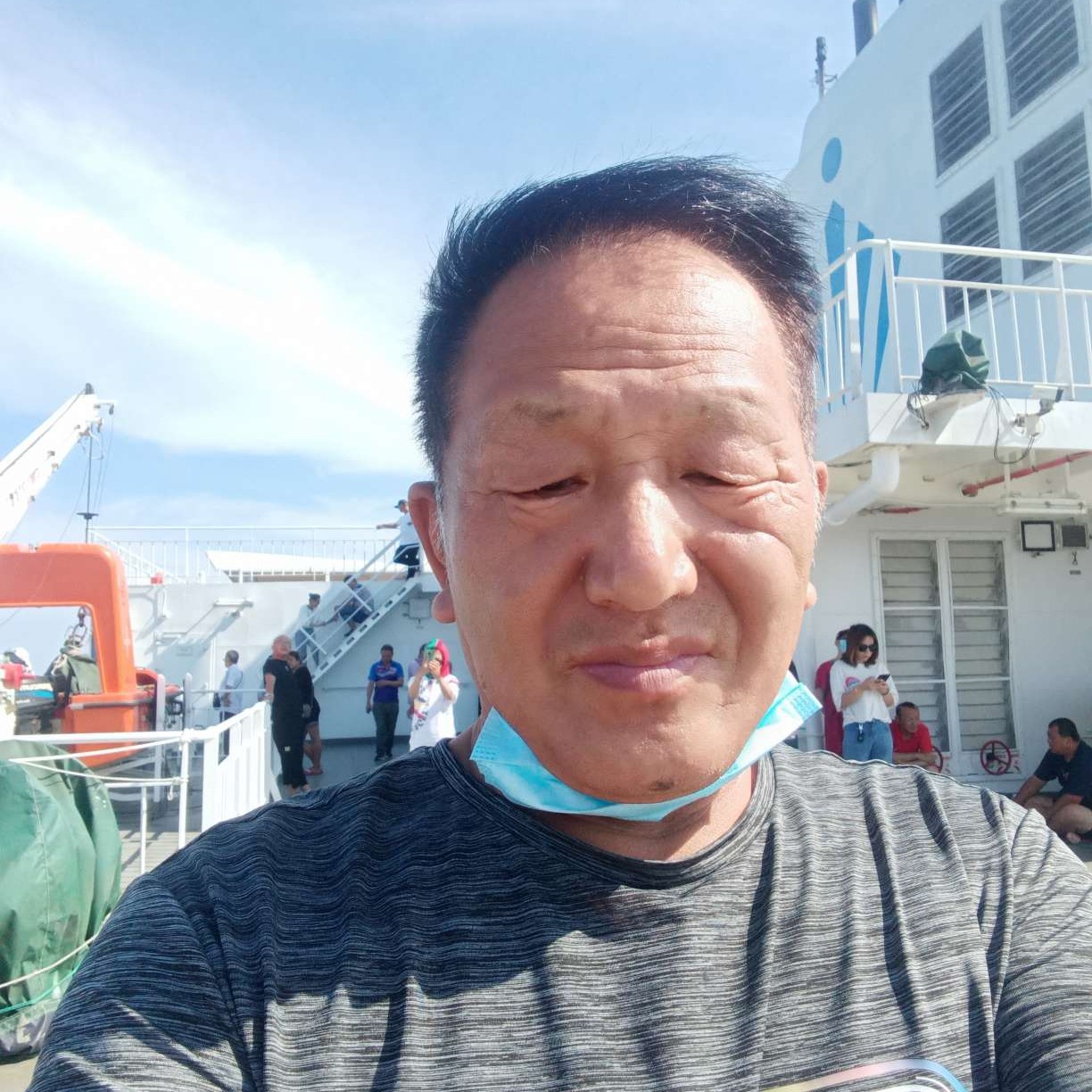 向日葵浅吻可靠的照片