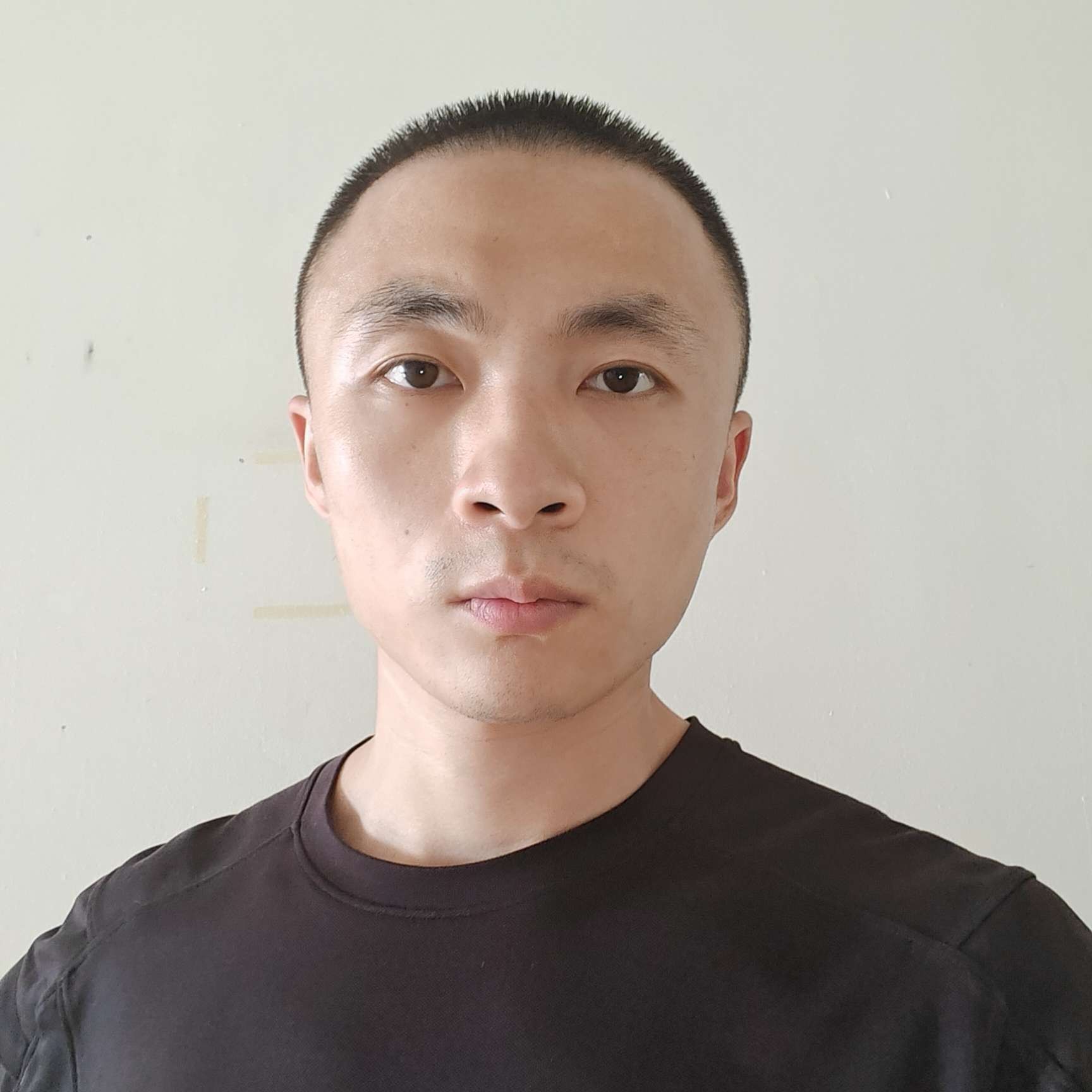 七叶的照片