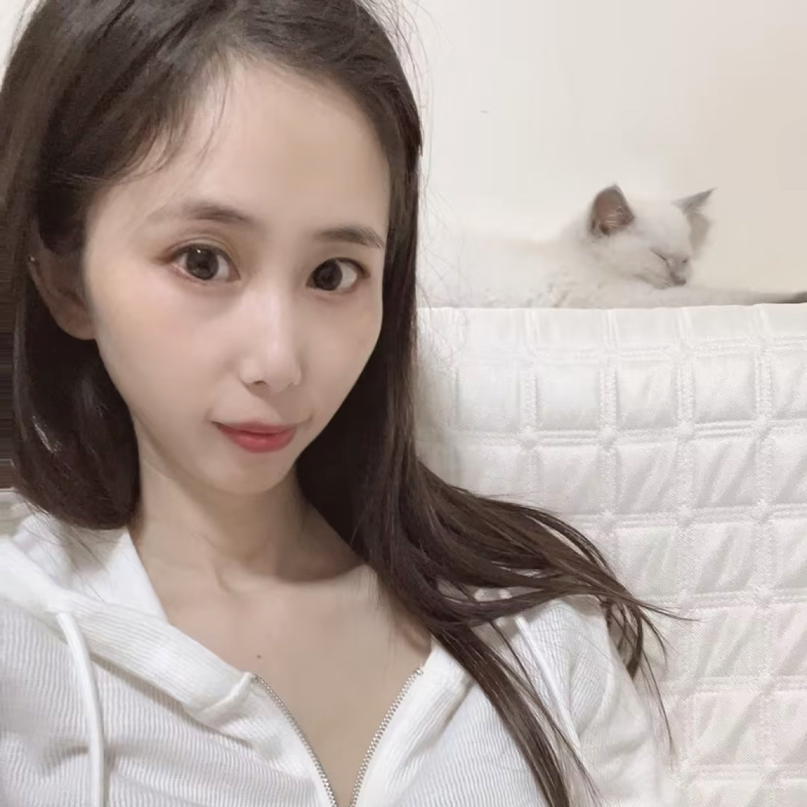 小龙女家燕的照片
