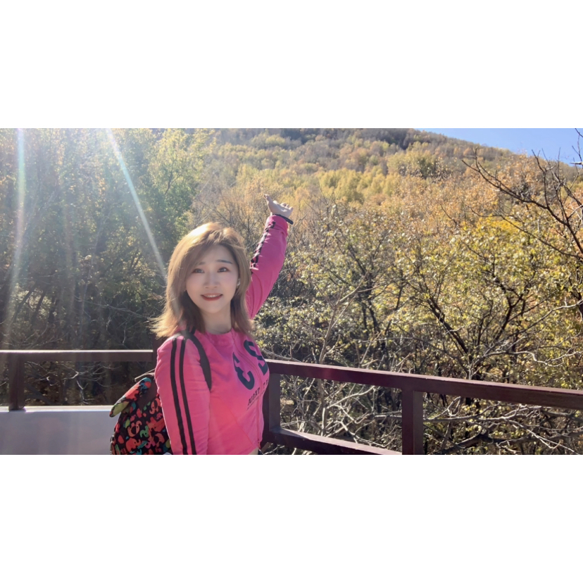 向日葵吃醋的照片