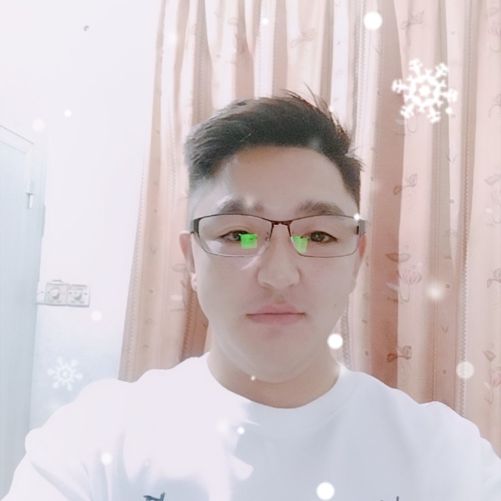 孤独的小笨蛋的照片