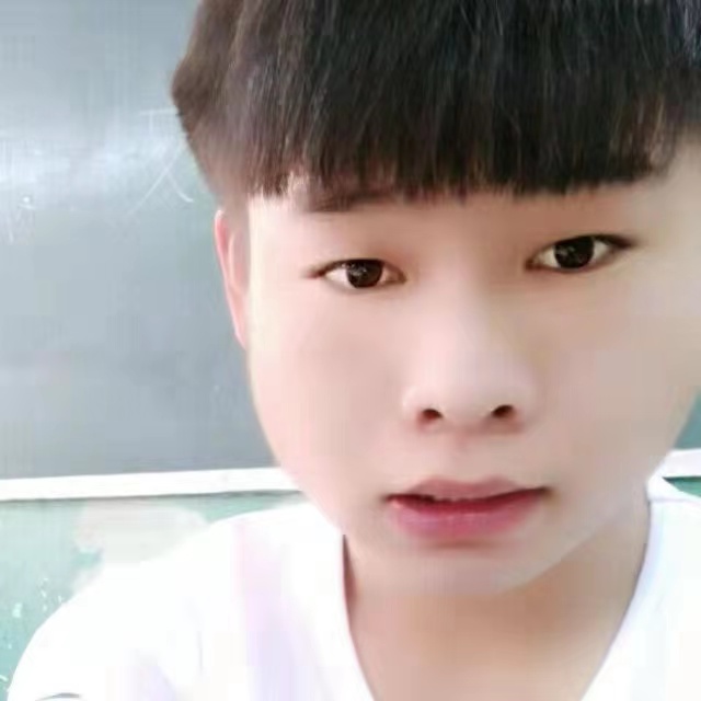 迷离停止犀牛的照片