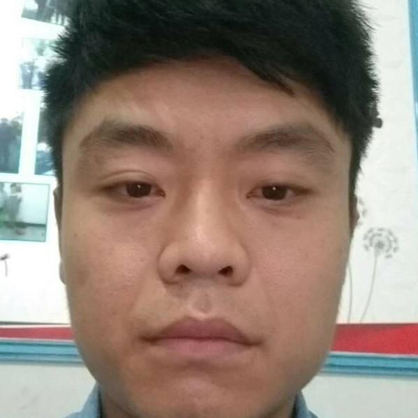 羊向故意的照片