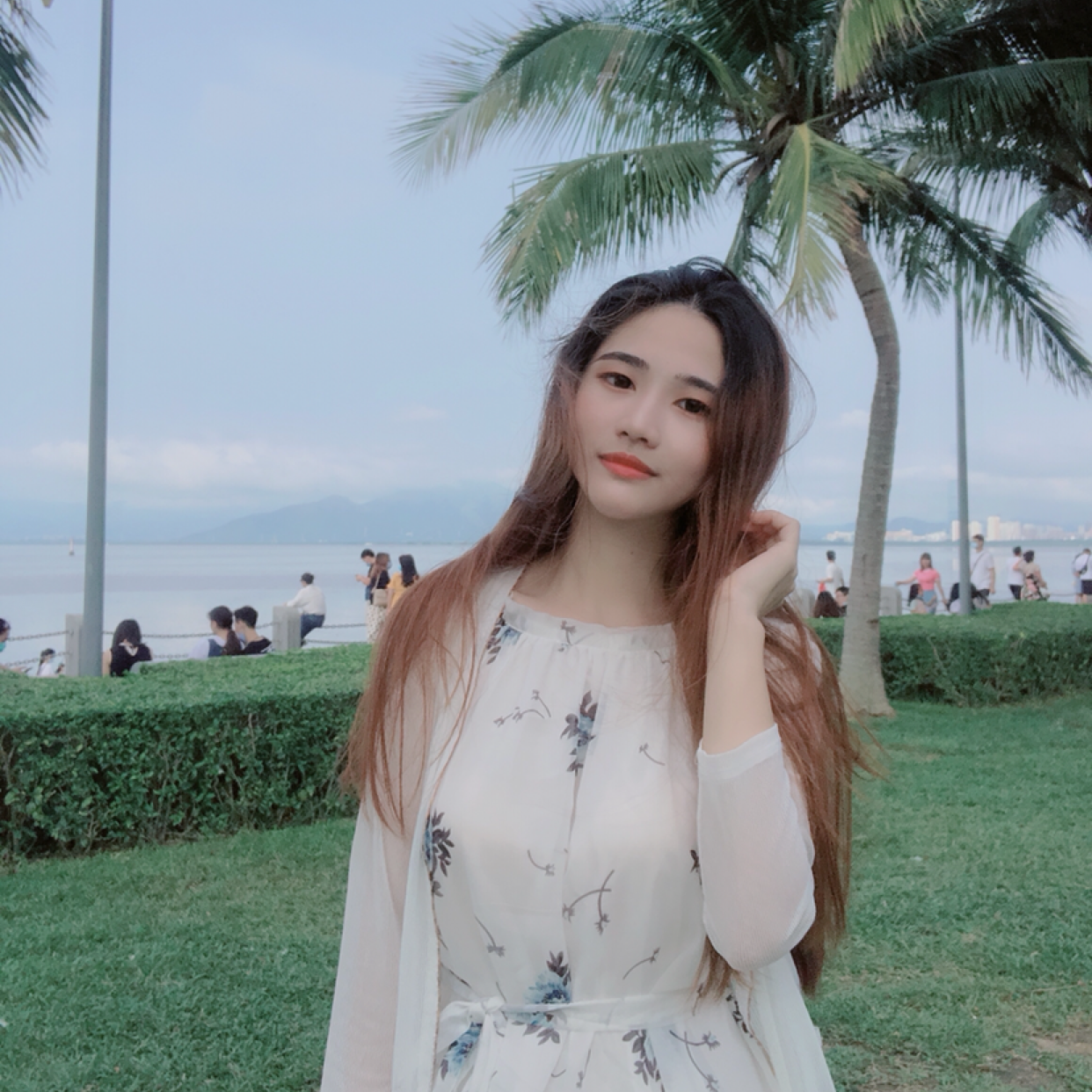 灵Csc的照片
