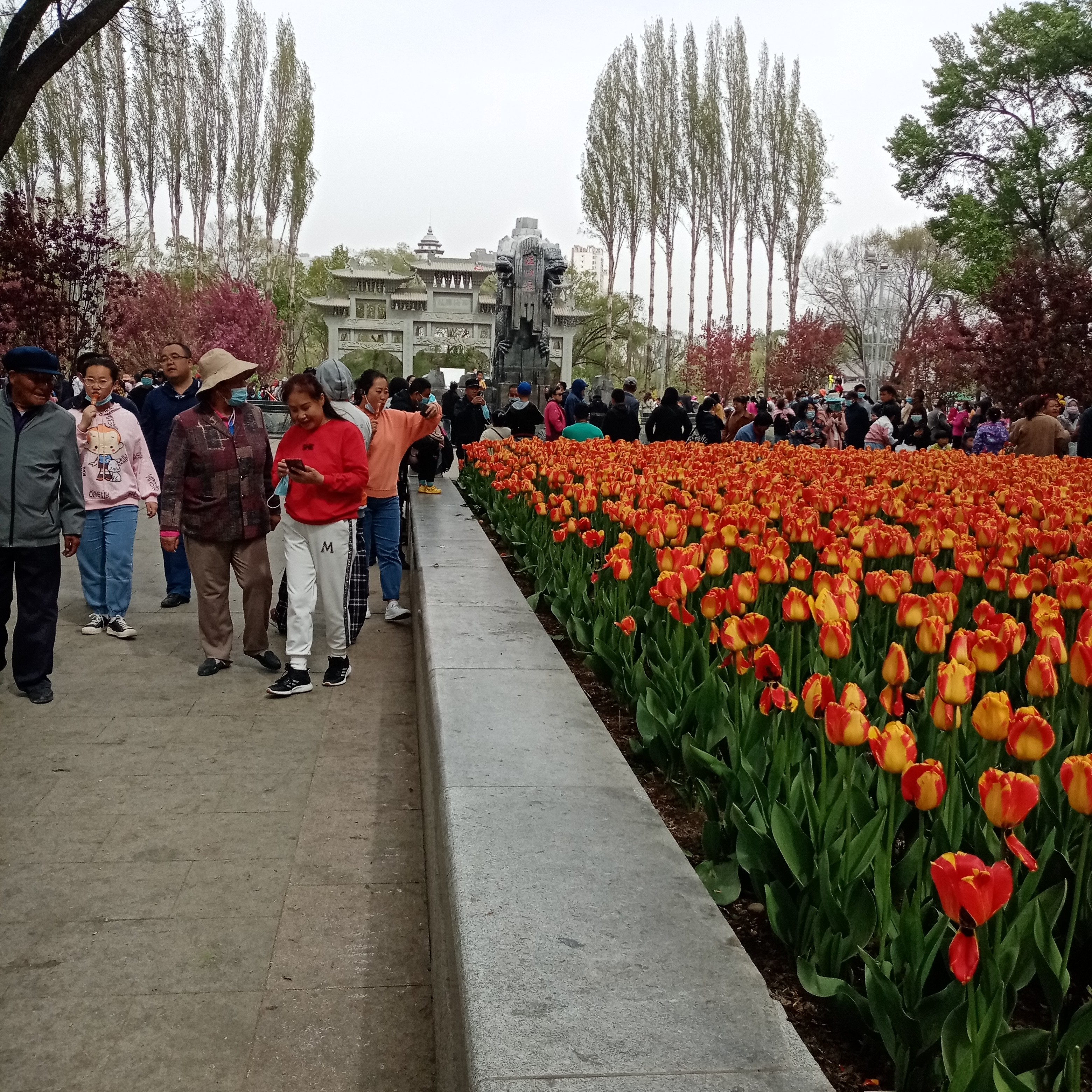 磬音拾忆火星上的照片