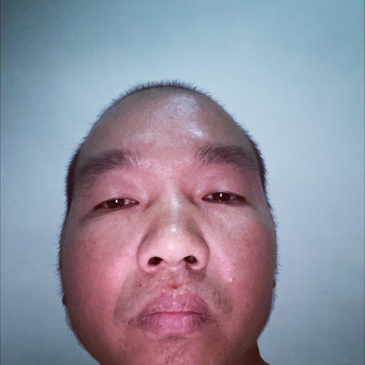 时尚de蚂蚁的照片