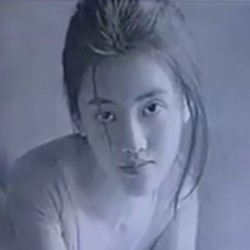 倾城繁华尽的照片