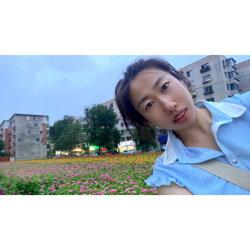 追寻de薰衣草的照片