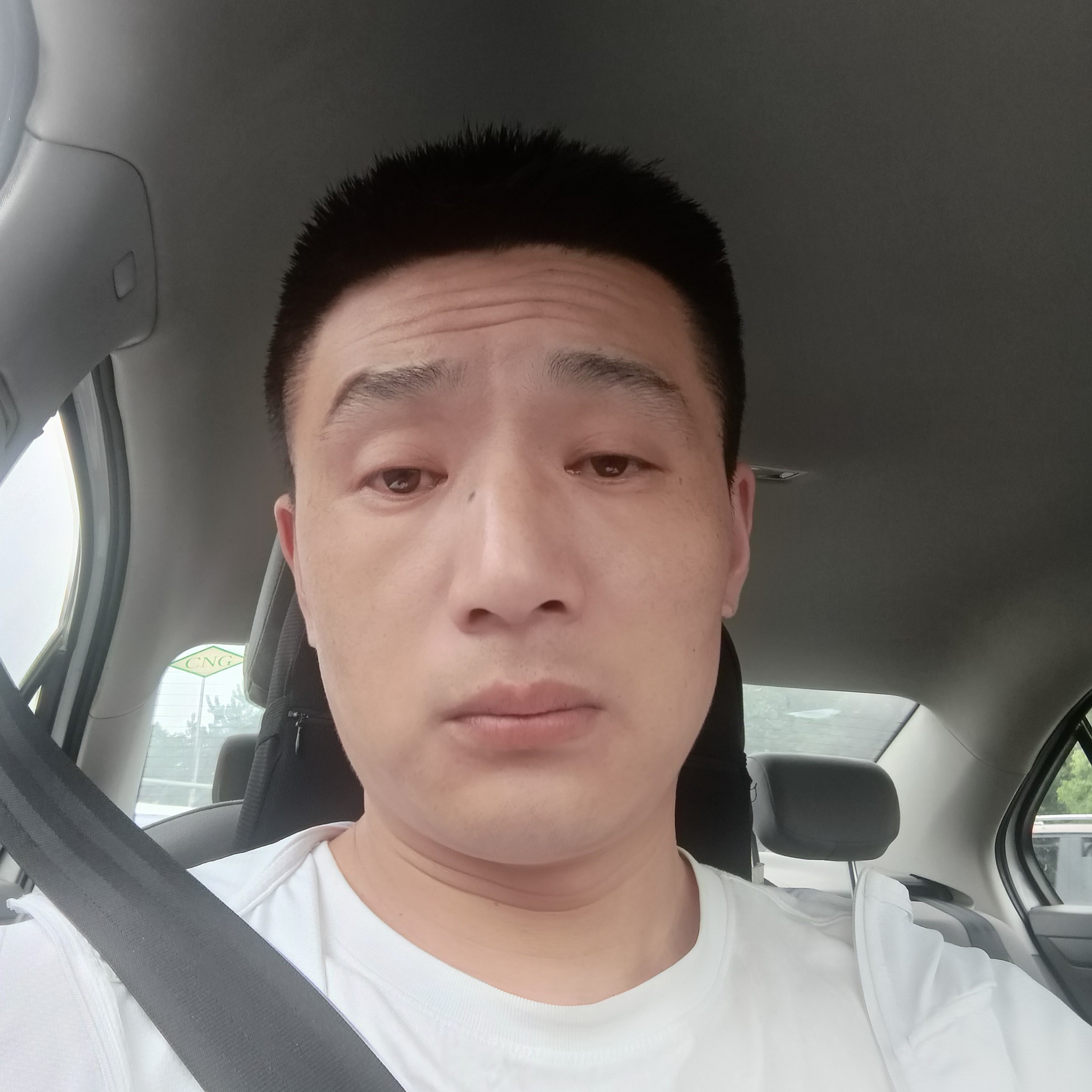 如梦改变精明的照片