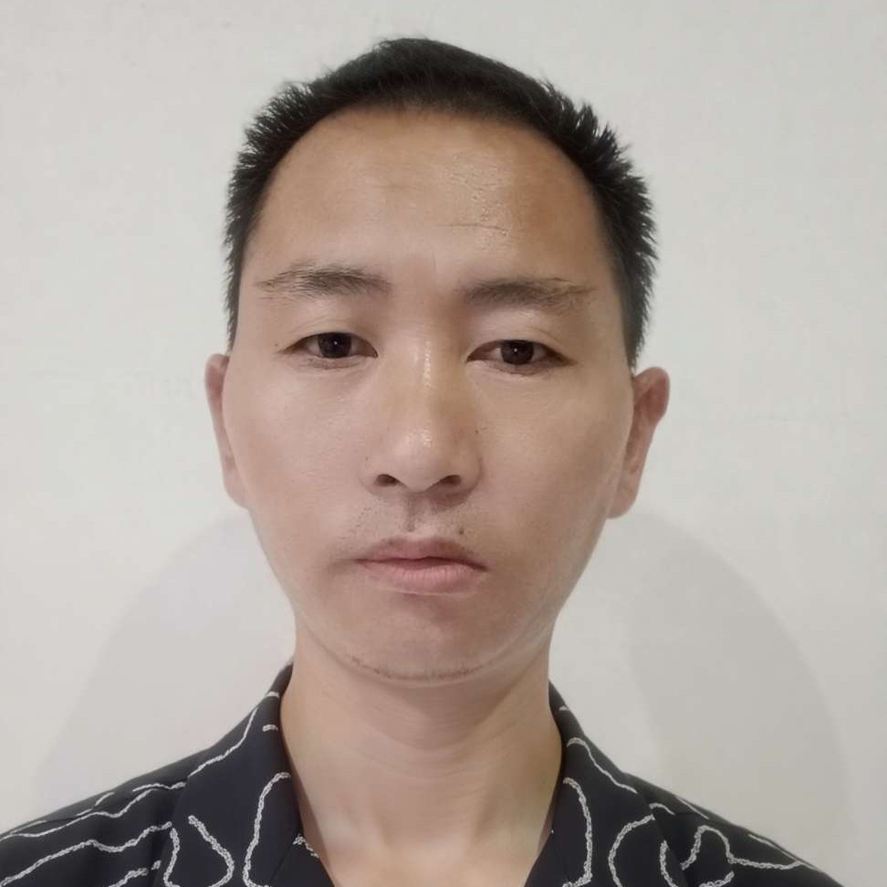 蓝天下de垂柳的照片