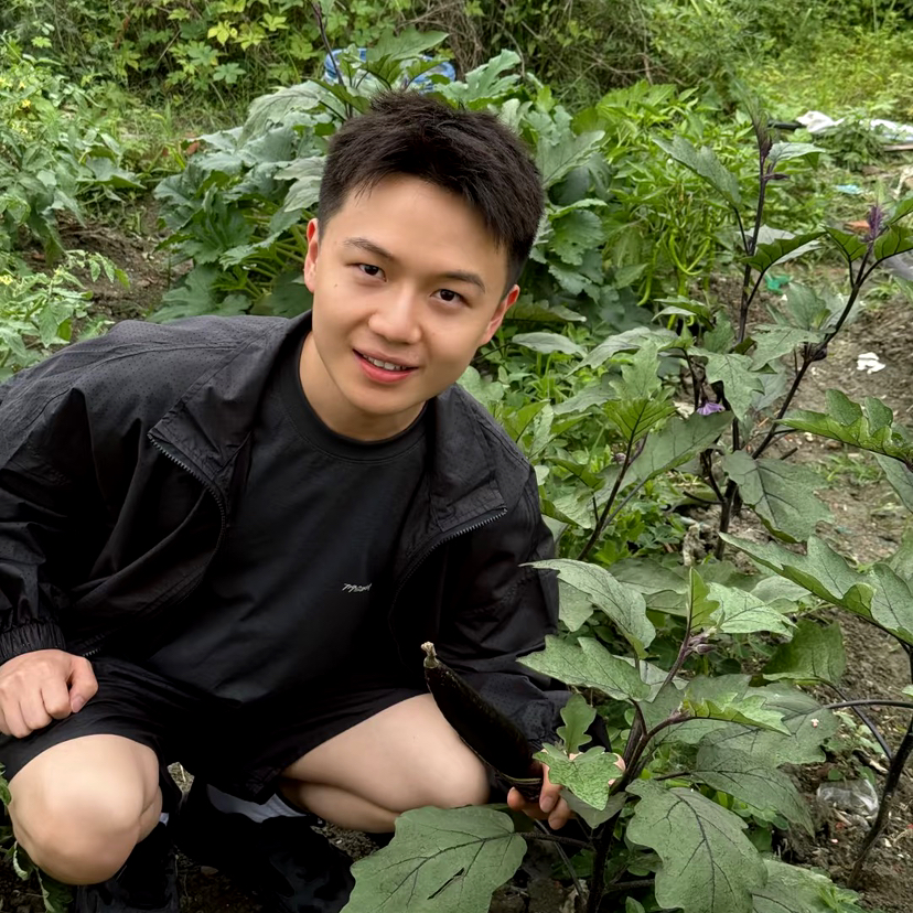 美人抚琴的照片