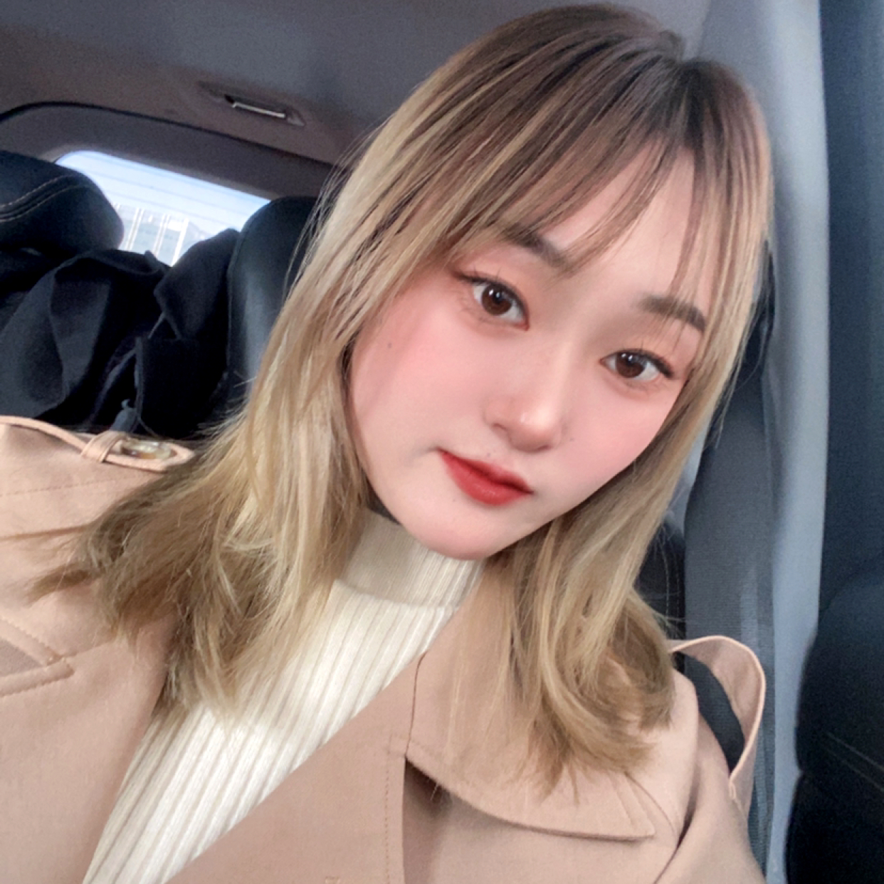 可爱的哈气的照片