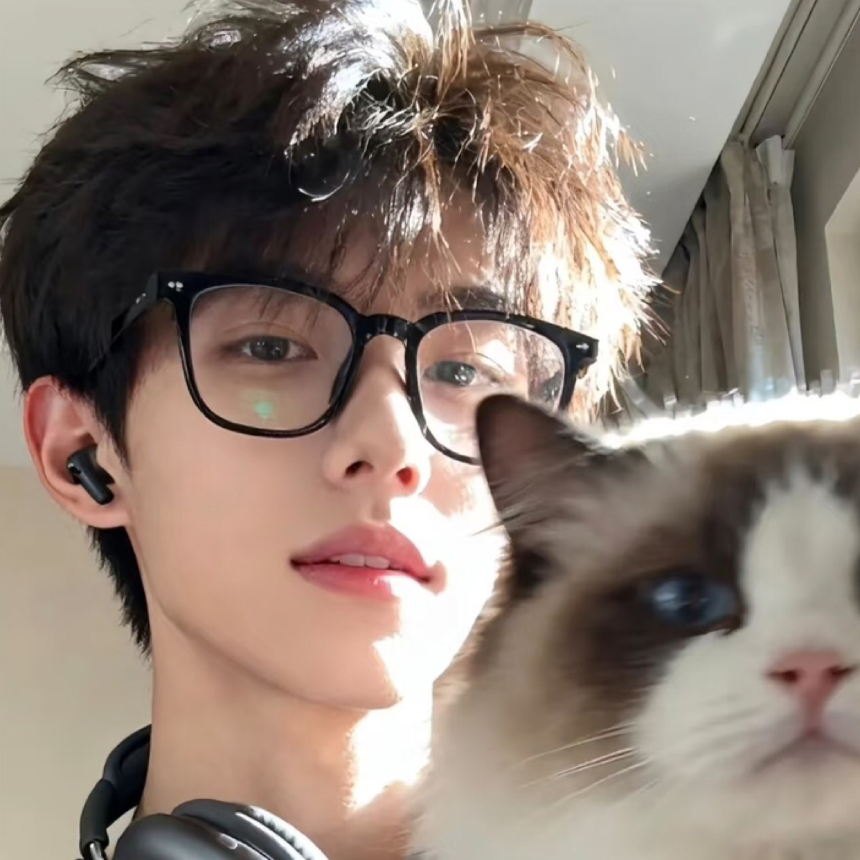 遗忘de风铃的照片