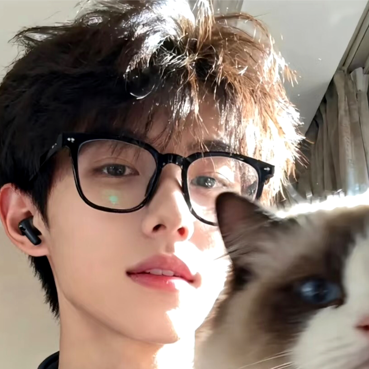 遗忘de风铃的照片