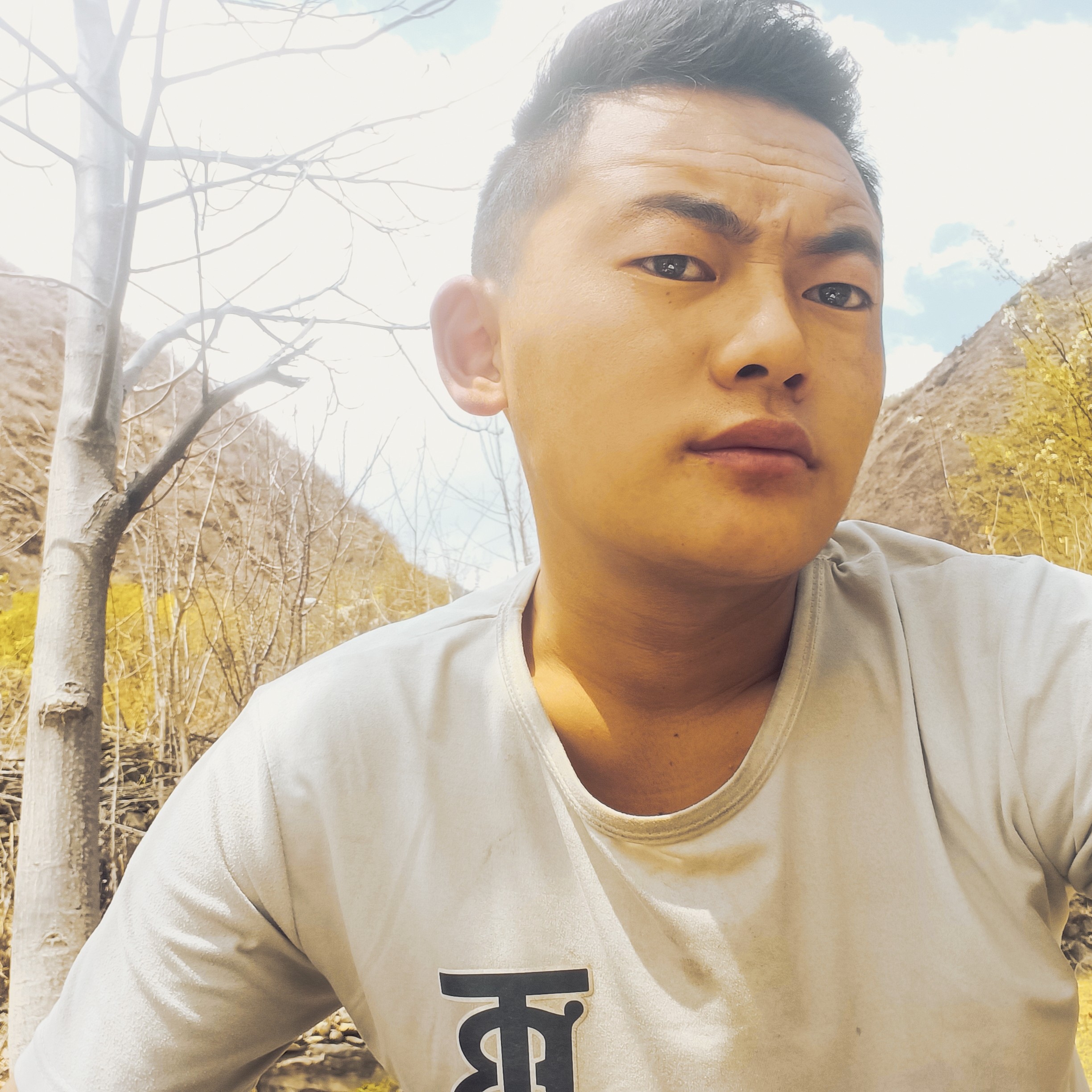 醉熏凝眸书本的照片