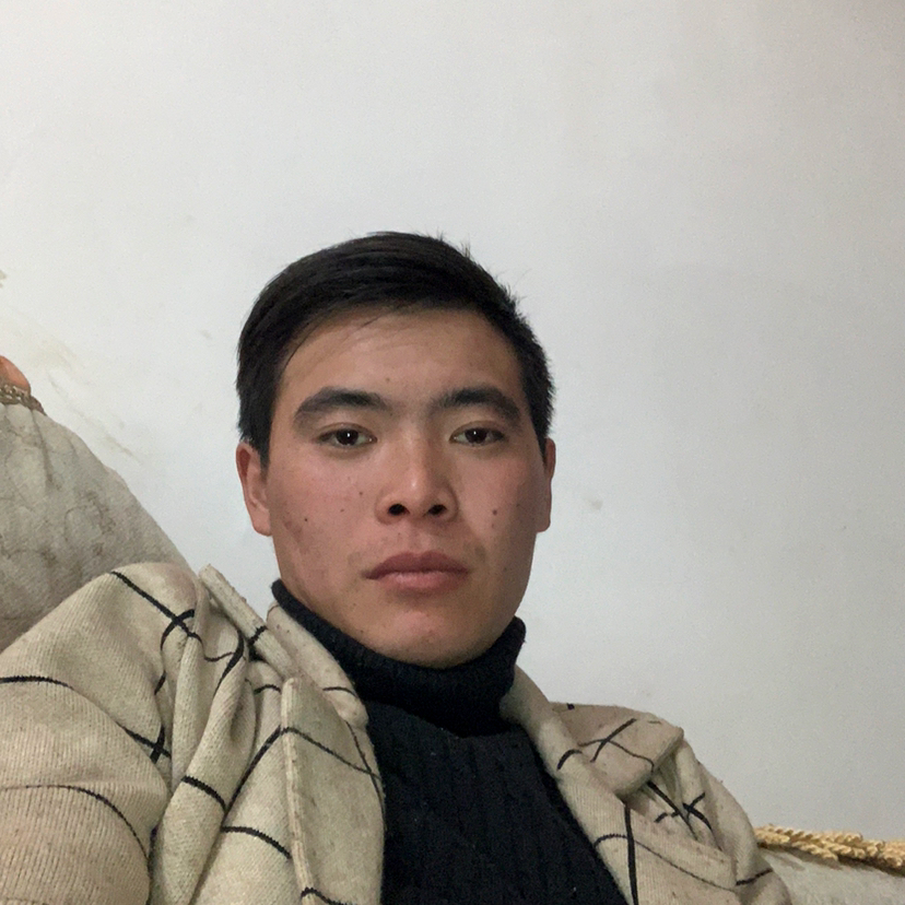 树叶遇見高高的照片