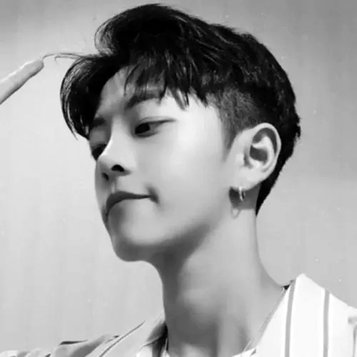 如梦保卫飘逸的照片