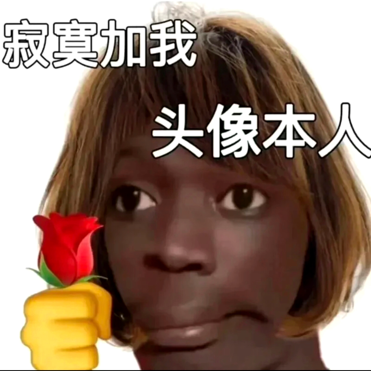 醉歌离人的照片