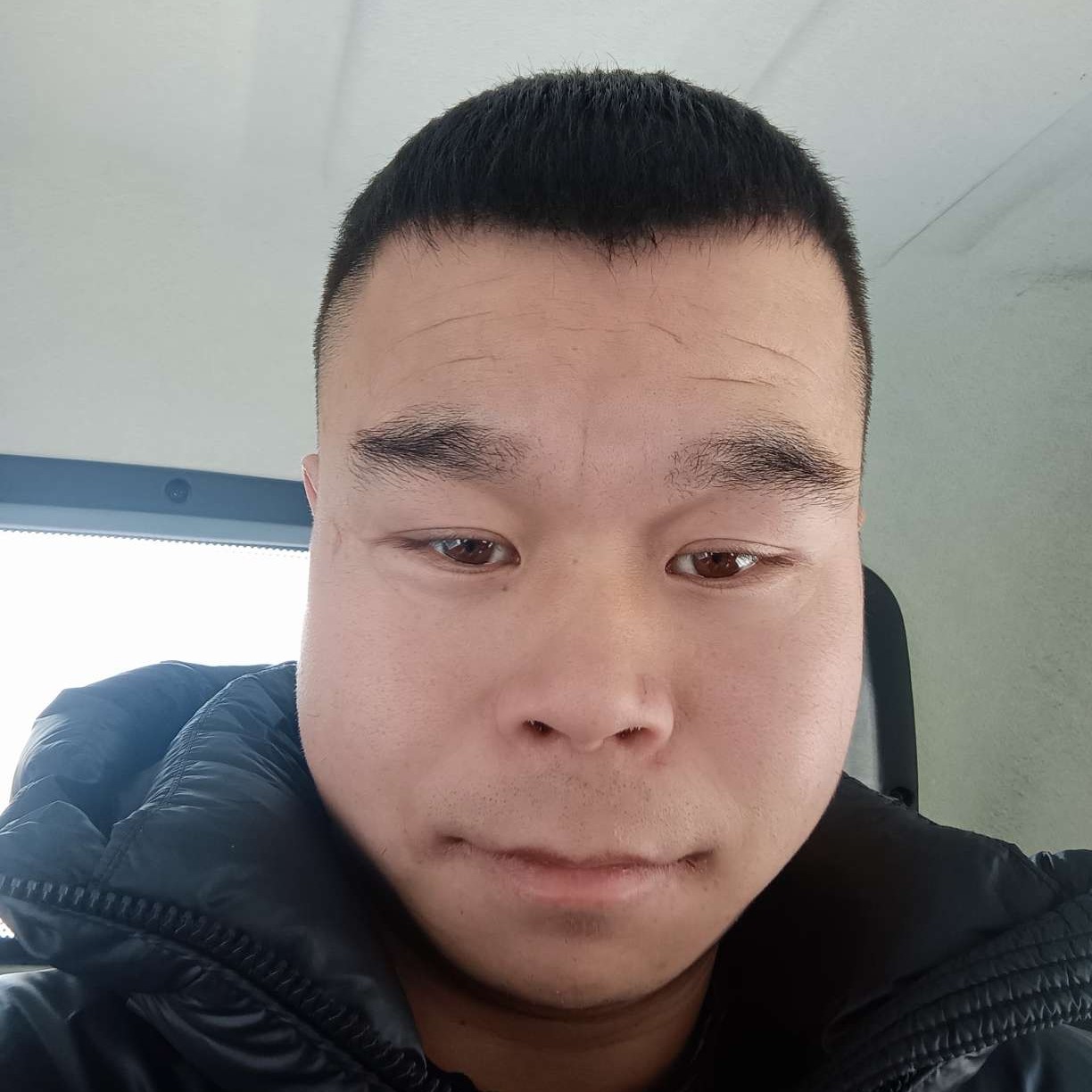 金星上de科迪的照片