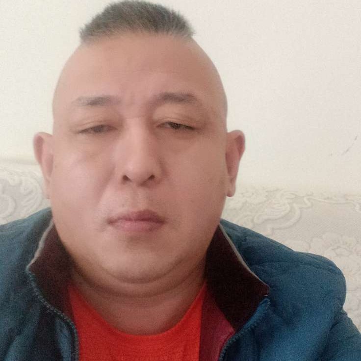 霸气和大炮的照片