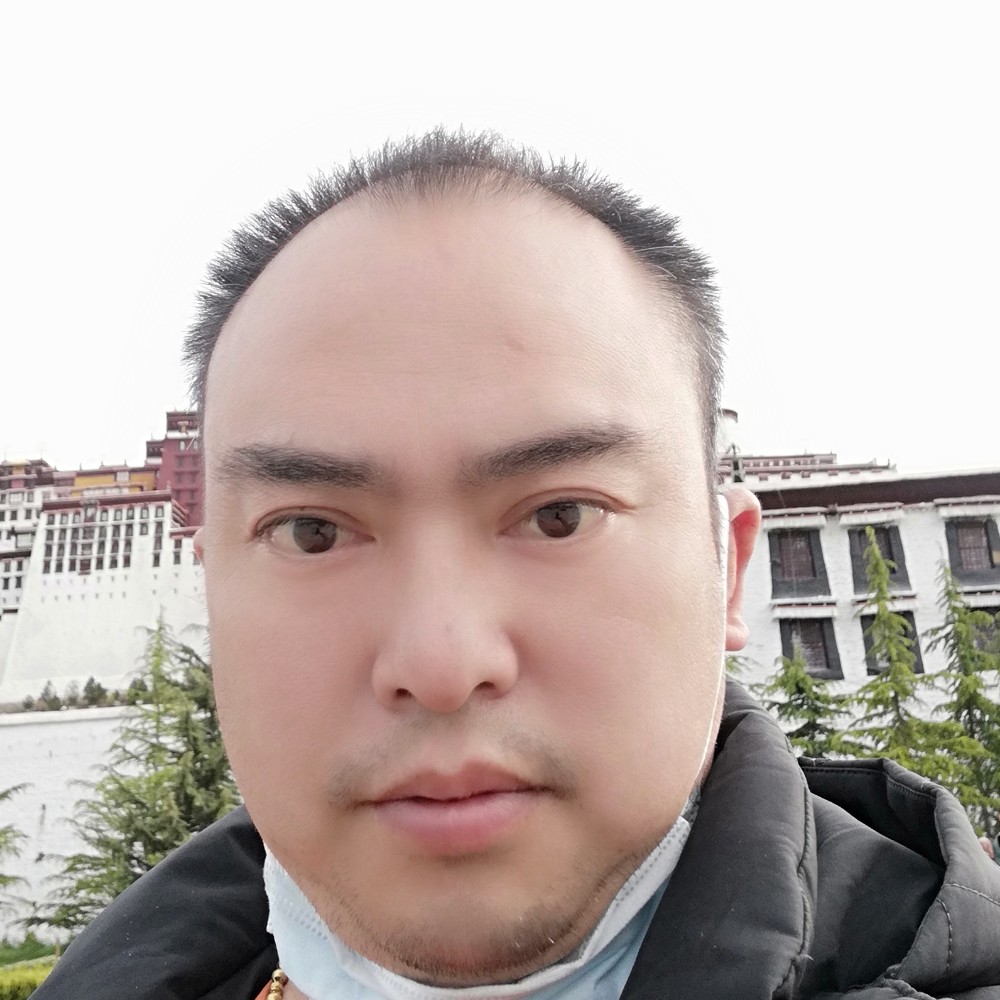 现实凝眸芝麻的照片