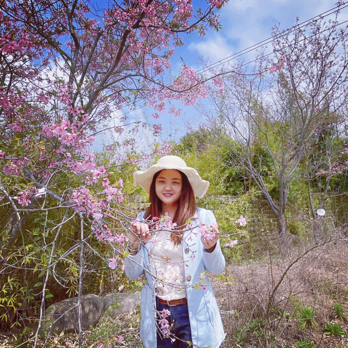 玫瑰痴情520的照片