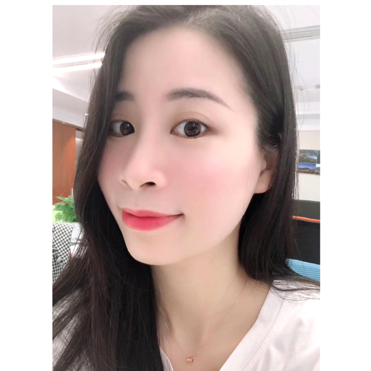 小海苔的照片