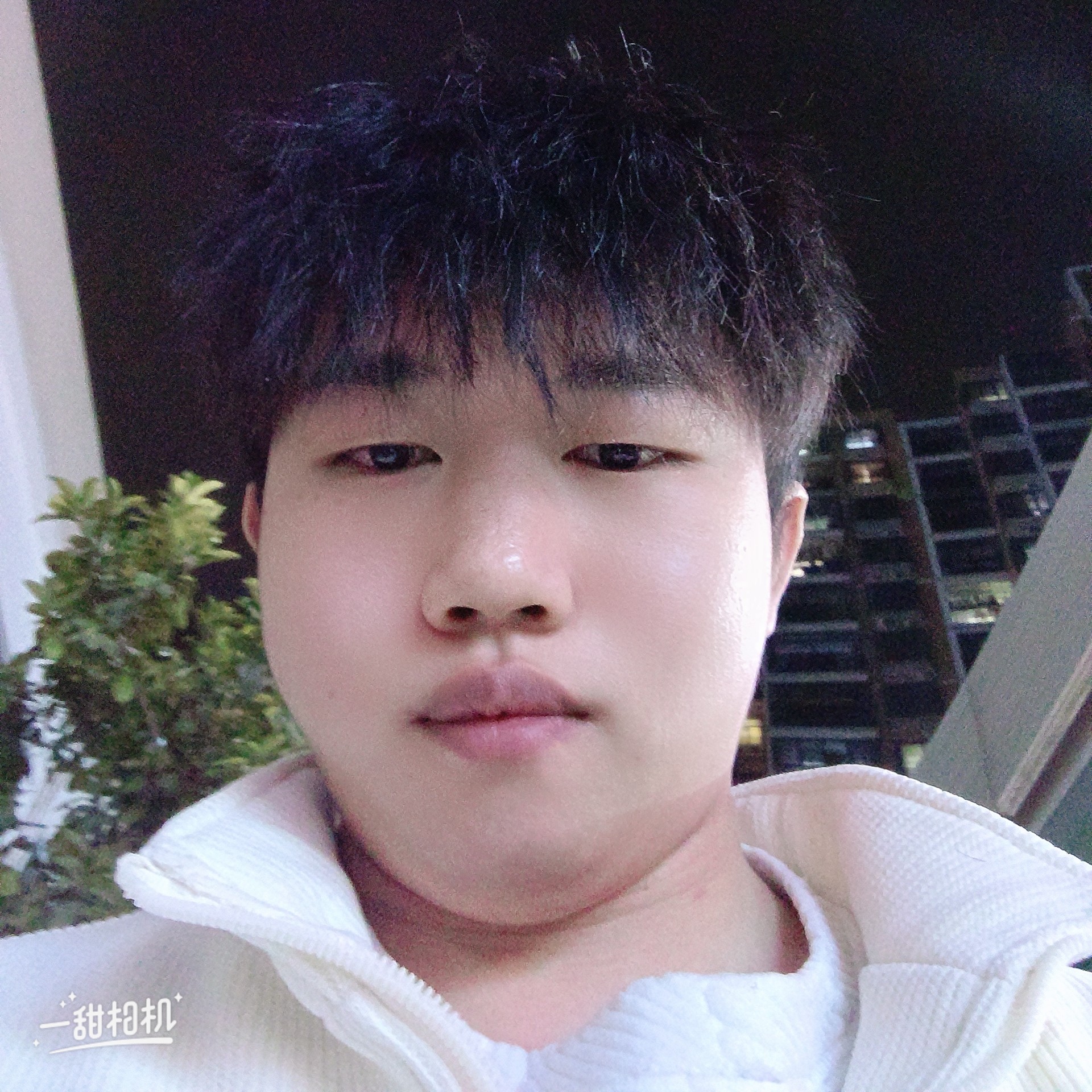 沿途南行的照片