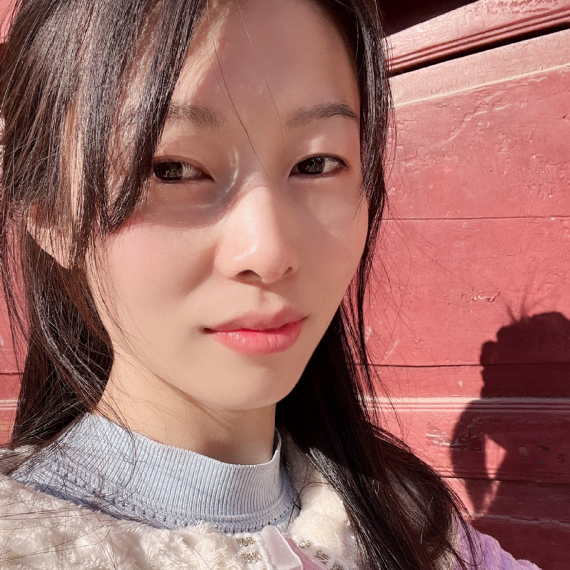 心向阳光的照片