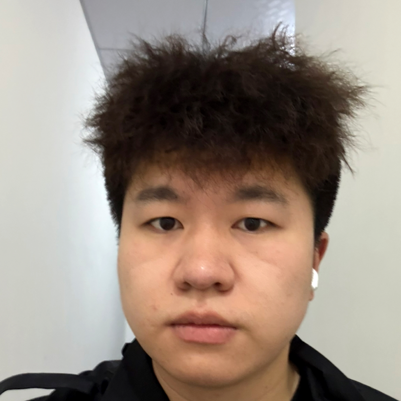树拓静秋的照片