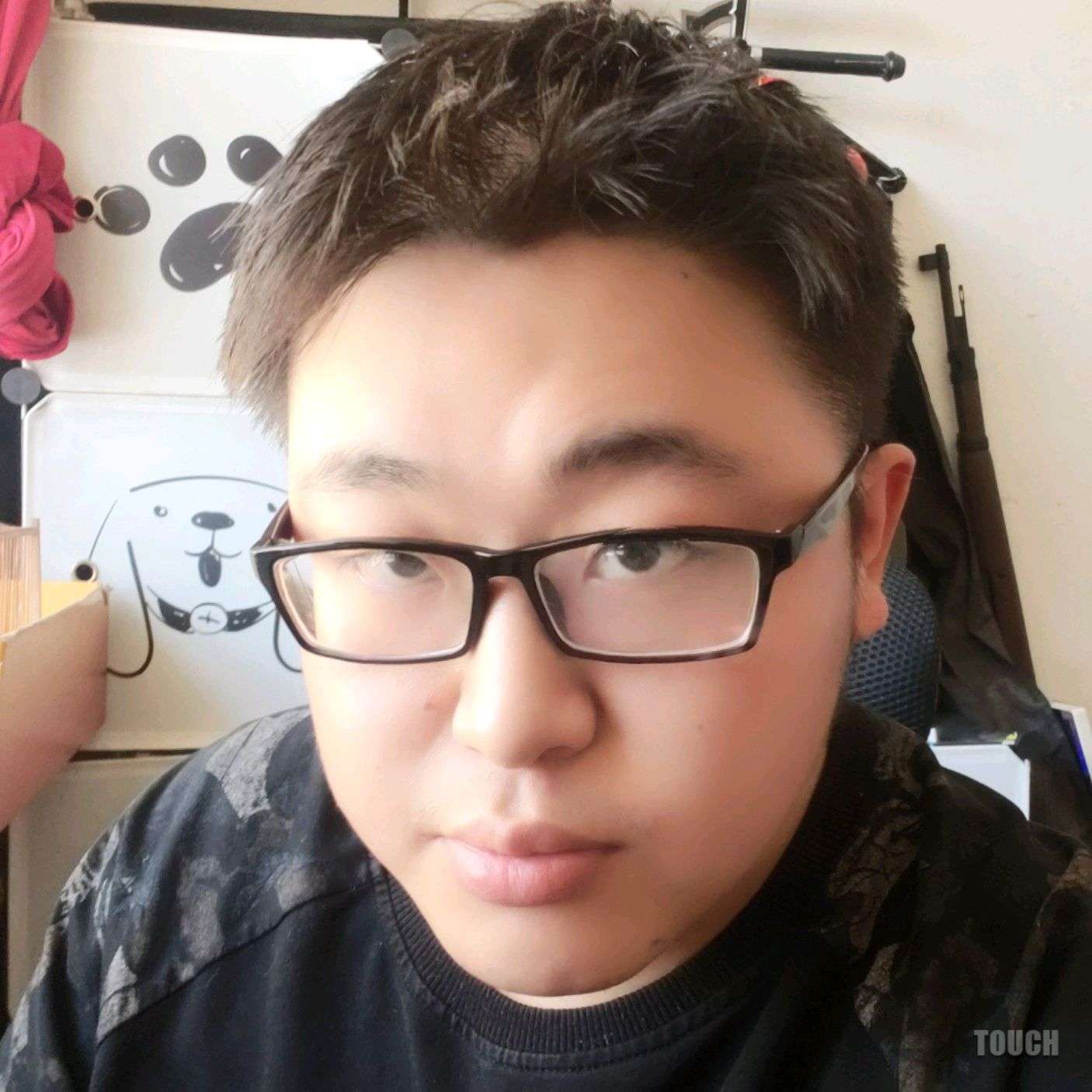 树深见鹿的照片