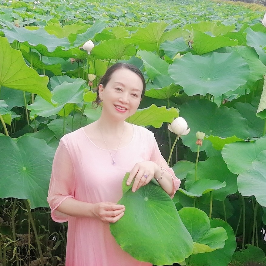 观海上日出的照片
