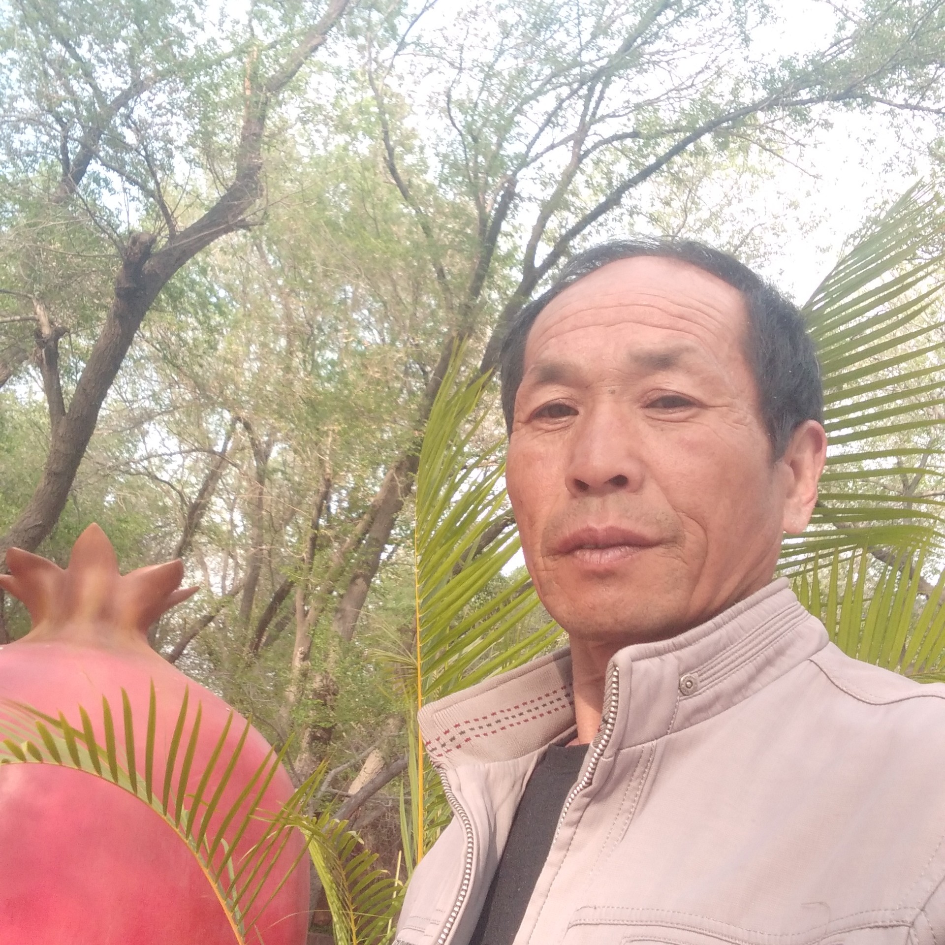 晨阳愿虚心的照片