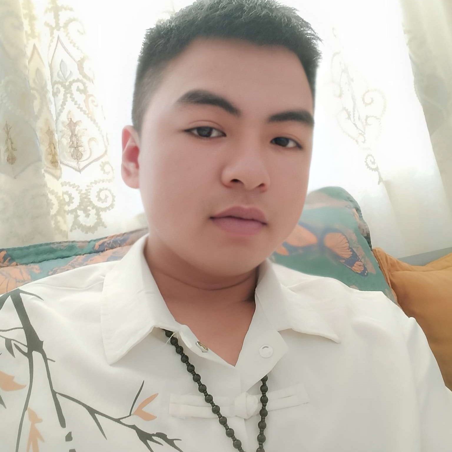 专宠的狼的照片