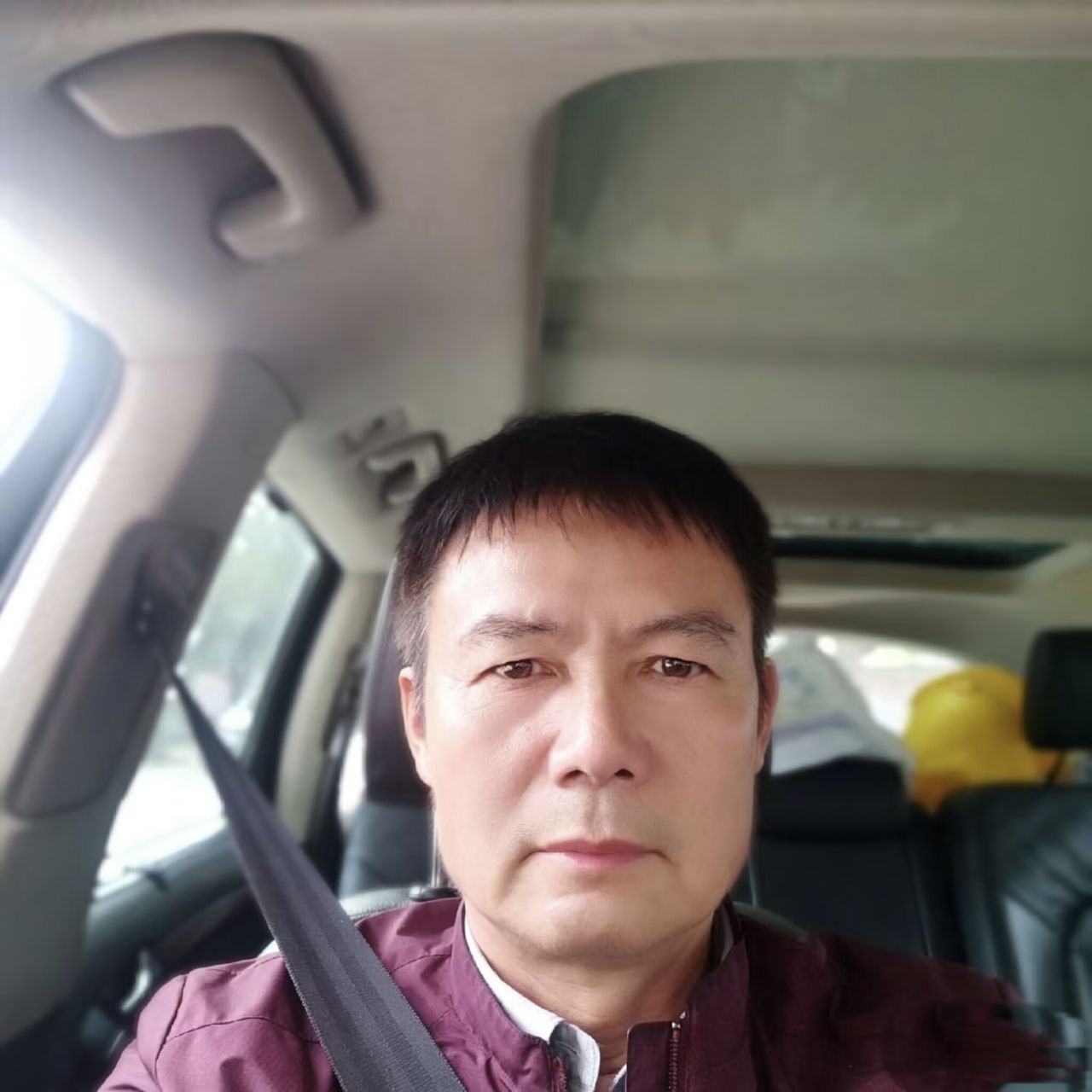 彩色de椰棕树的照片