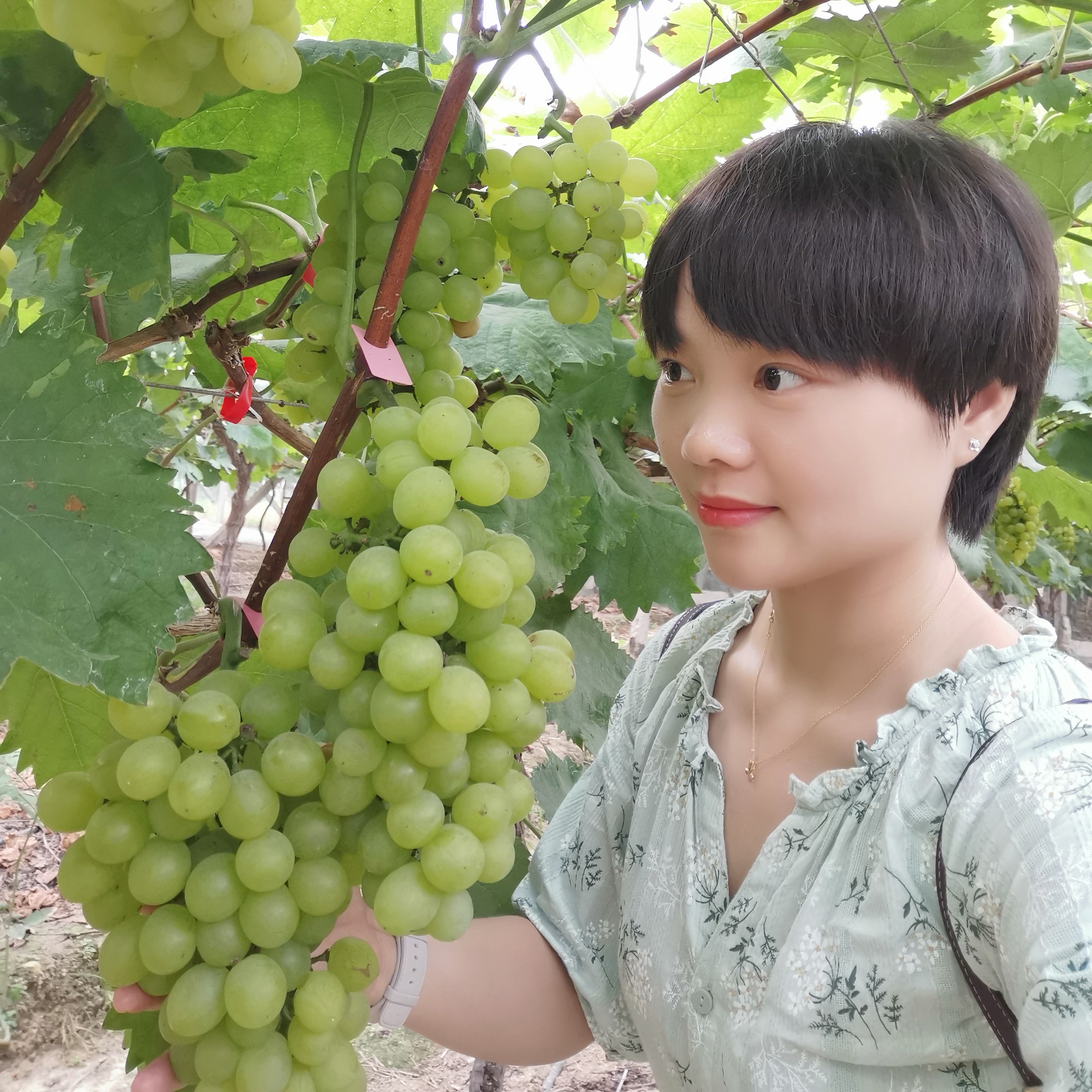 瘦瘦相许星星的照片