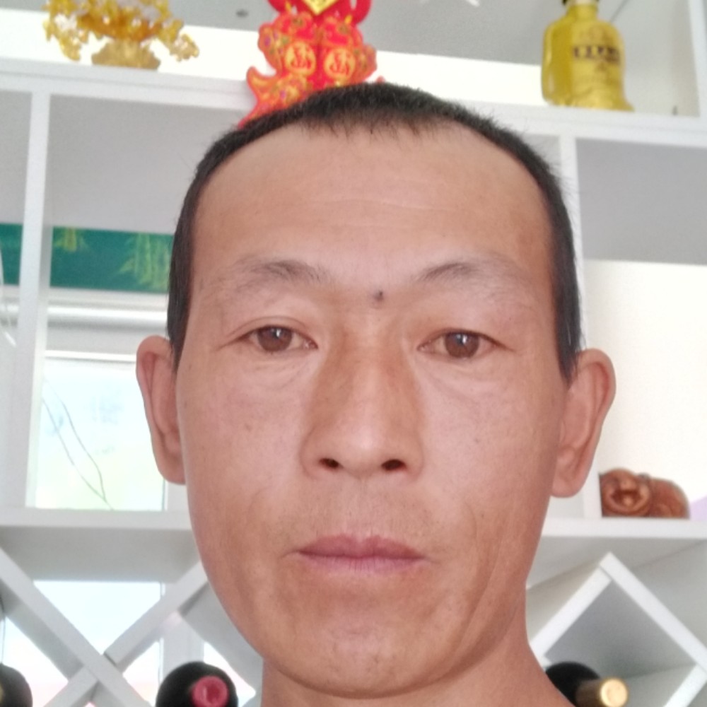 谁邂逅小猫咪的照片