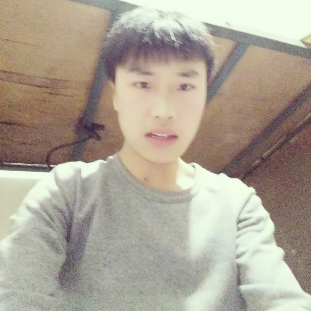 板栗蹙眉傲娇的照片