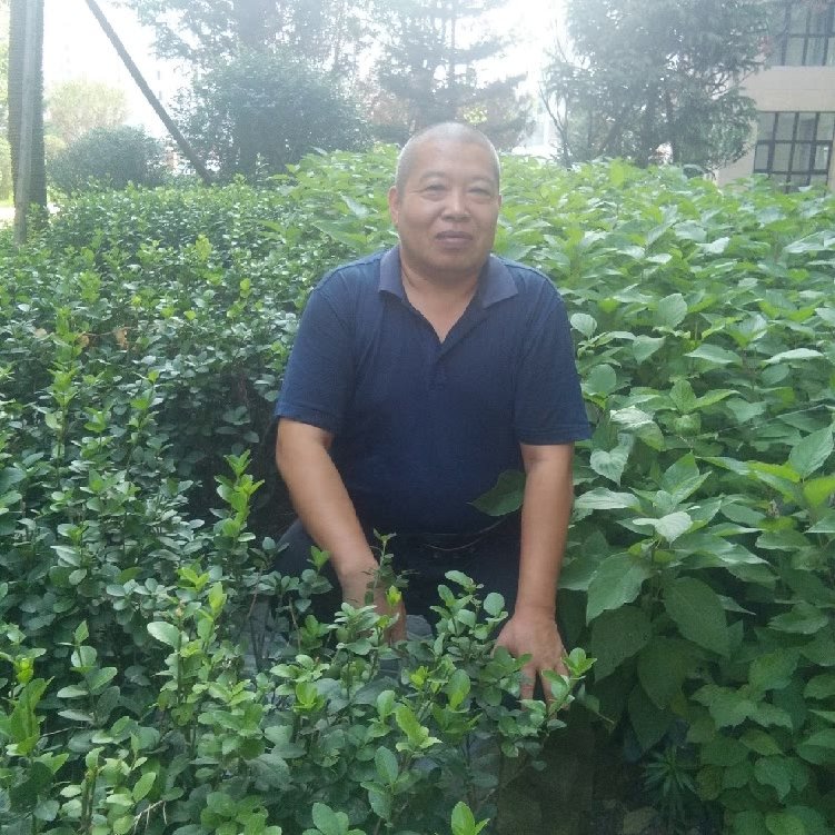 激动演变忘忧的照片