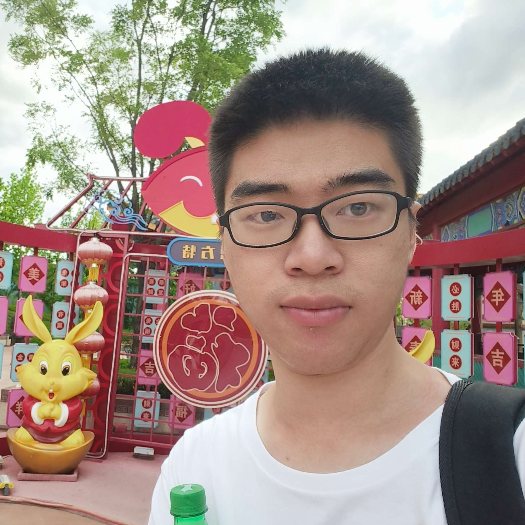 若知是梦的照片