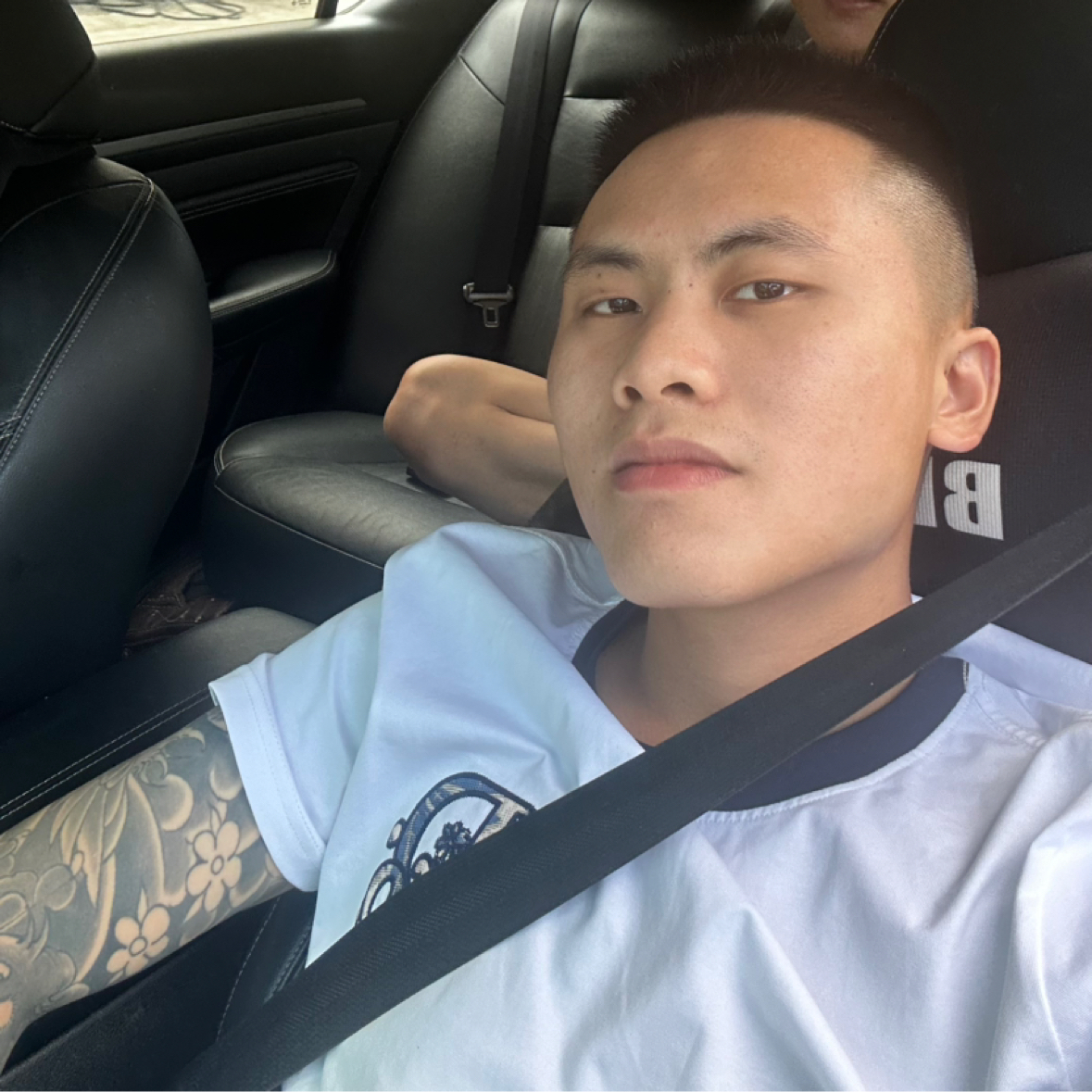 树深见鹿的照片
