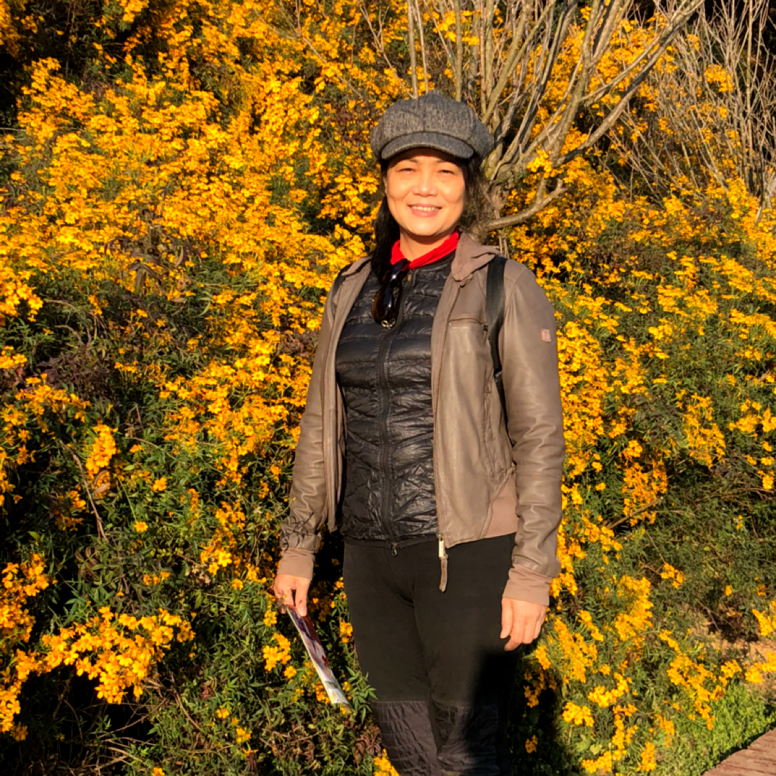 文艺演变砖头的照片