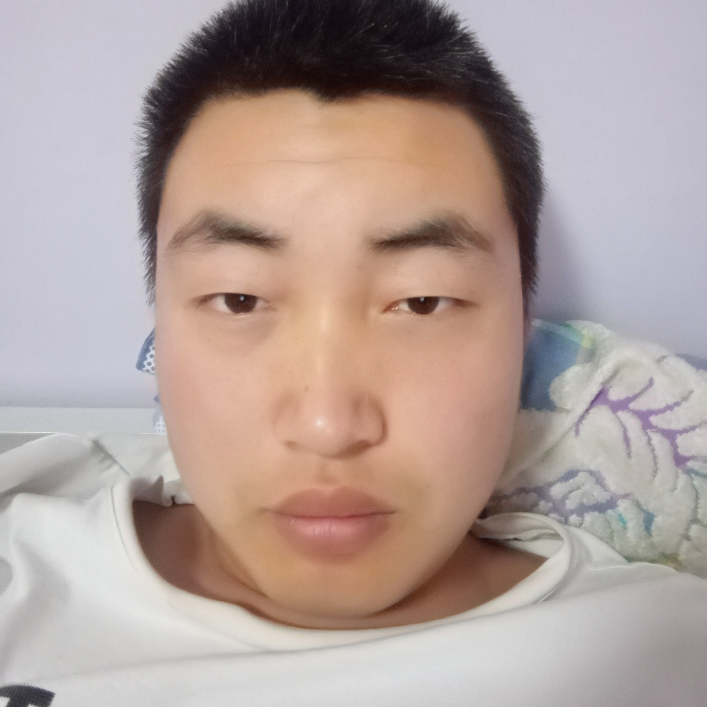 淡定踢流岚的照片