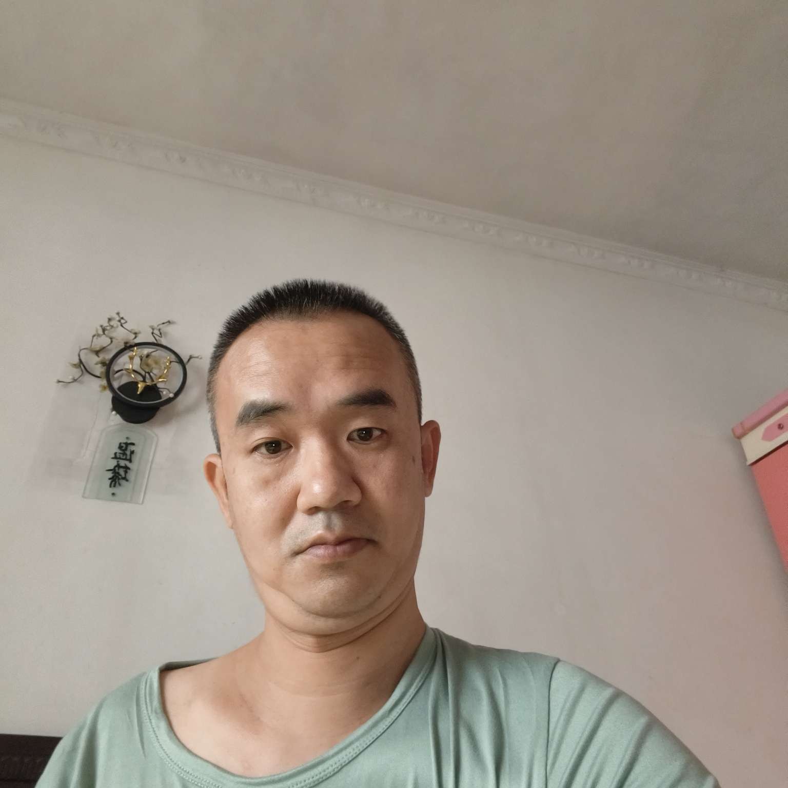 活泼de鸽子的照片